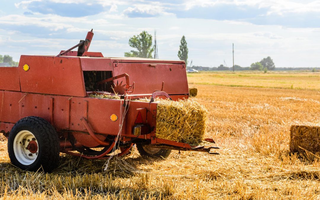 Przegląd i regeneracja pras rolniczych po sezonie – co sprawdzić przed kolejnymi sianokosami | GĄSKA